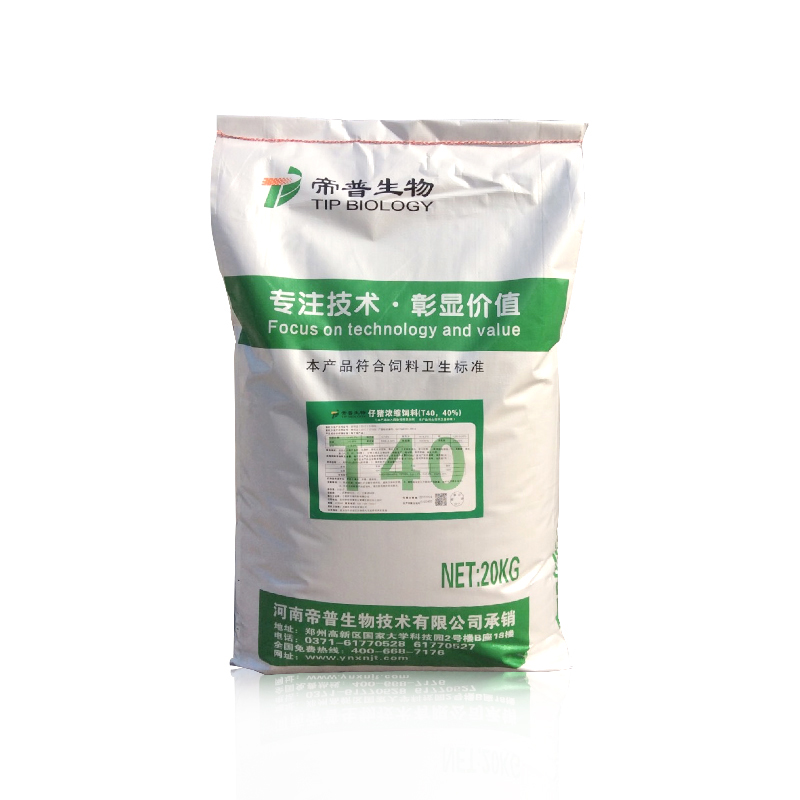 帝普T40
