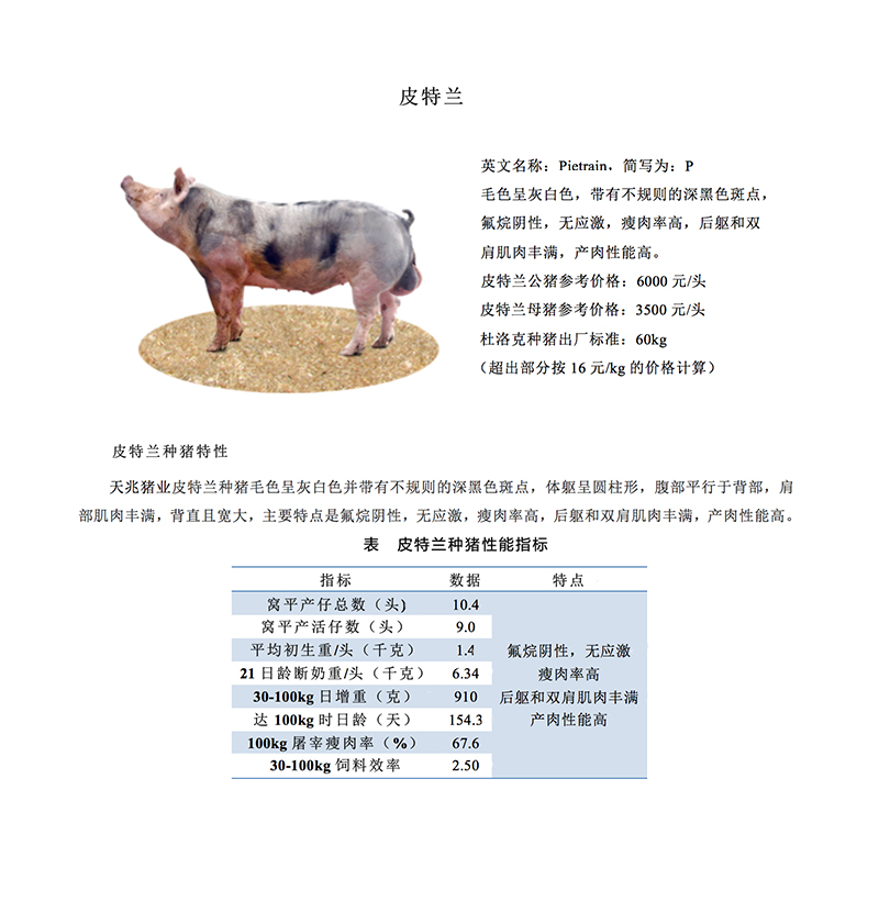 商品详情